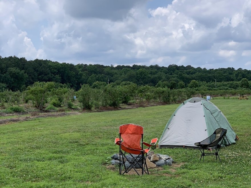 Kingsley Orchards