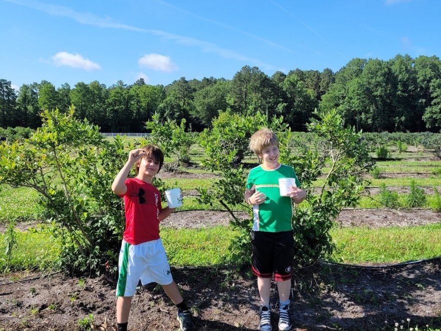 Kingsley Orchards